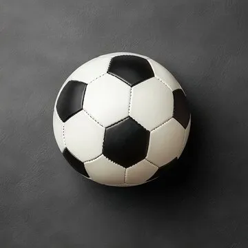 开云体育界面预览2